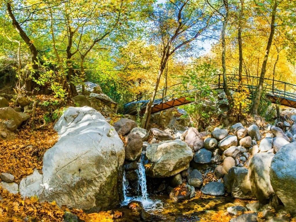 Bornova Doğa ve Huzur